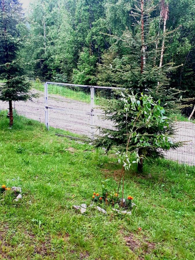 Casa Ionel Si Dani Villa Fundáta Kültér fotó